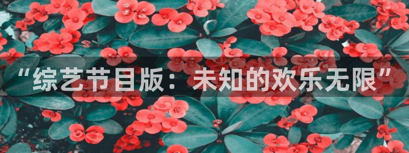 “综艺节目版：未知的欢乐无限”