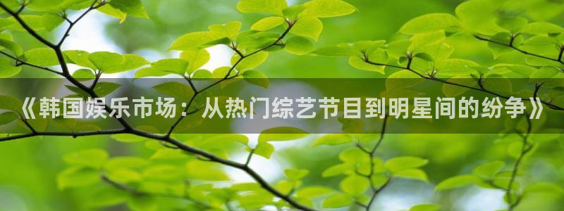 《韩国娱乐市场：从热门综艺节目到明星间的纷争》