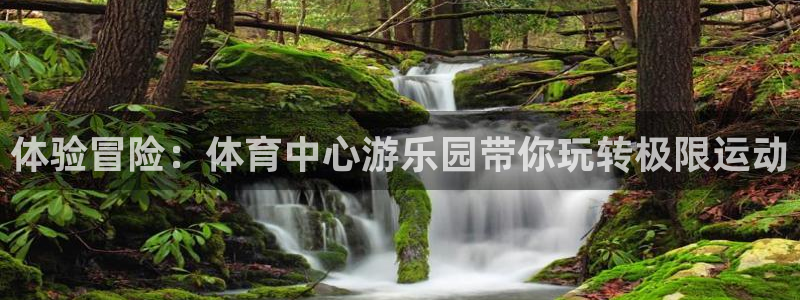 体验冒险：体育中心游乐园带你玩转极限运动