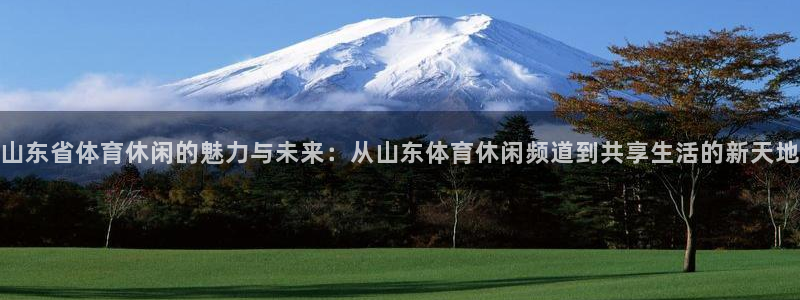 山东省体育休闲的魅力与未来：从山东体育休闲频道到共享生活的新天地