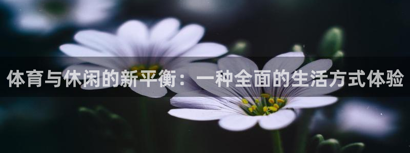 体育与休闲的新平衡：一种全面的生活方式体验