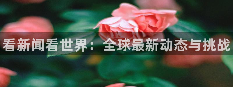 看新闻看世界：全球最新动态与挑战