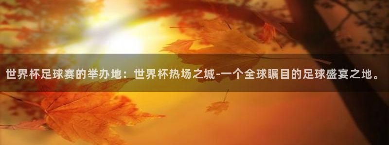 世界杯足球赛的举办地：世界杯热场之城-一个全球瞩目的足球盛宴之地。