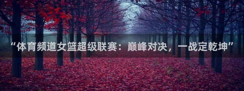 “体育频道女篮超级联赛：巅峰对决，一战定乾坤”