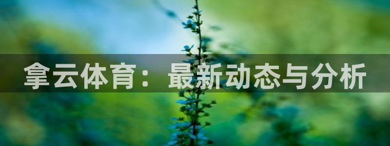 拿云体育：最新动态与分析