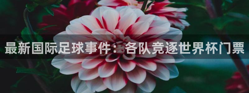 最新国际足球事件：各队竞逐世界杯门票