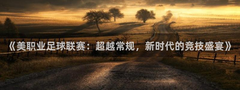 《美职业足球联赛：超越常规，新时代的竞技盛宴》