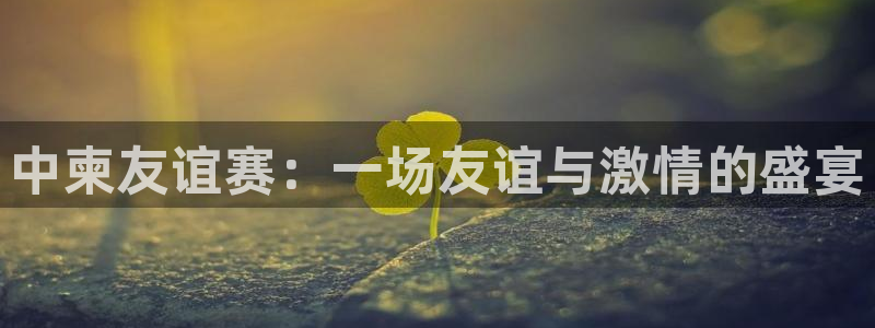 中柬友谊赛：一场友谊与激情的盛宴