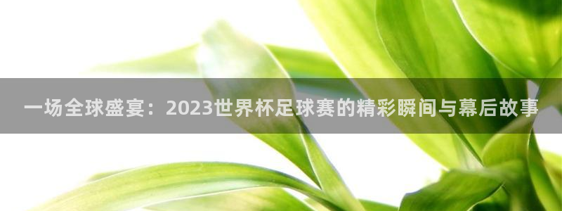 一场全球盛宴：2023世界杯足球赛的精彩瞬间与幕后故事