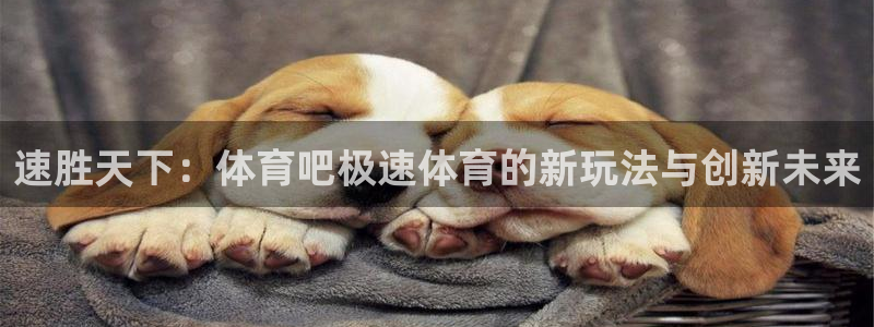 速胜天下：体育吧极速体育的新玩法与创新未来