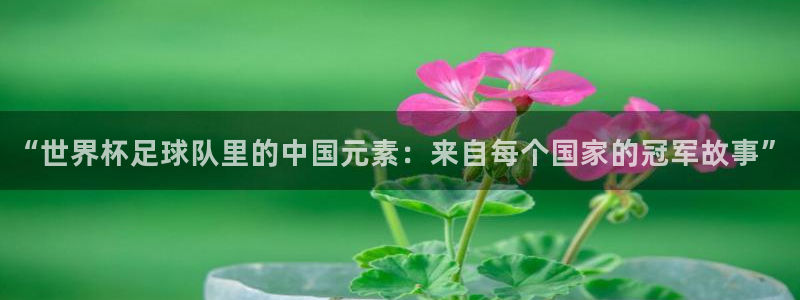 “世界杯足球队里的中国元素：来自每个国家的冠军故事”