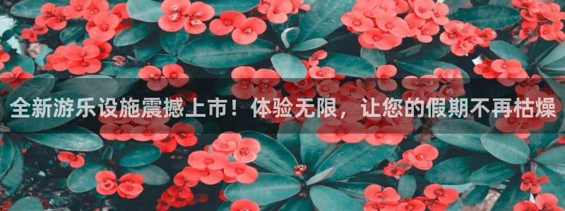 全新游乐设施震撼上市!体验无限,让您的假期不再枯燥