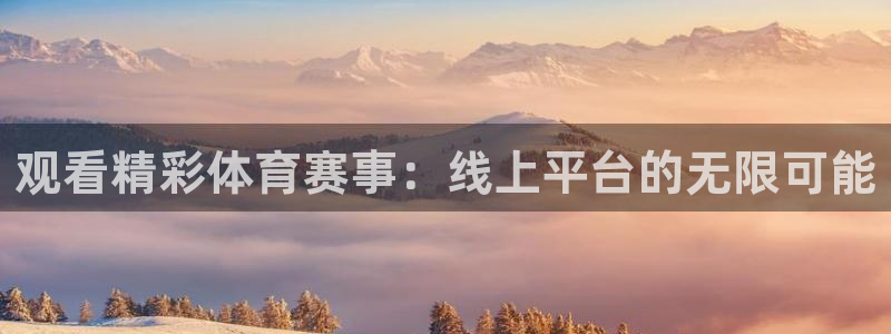 观看精彩体育赛事：线上平台的无限可能