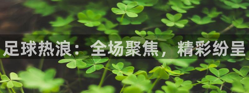 足球热浪：全场聚焦，精彩纷呈