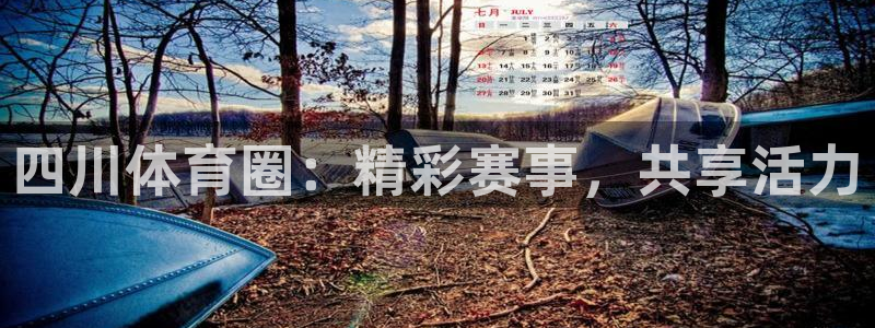 四川体育圈：精彩赛事，共享活力