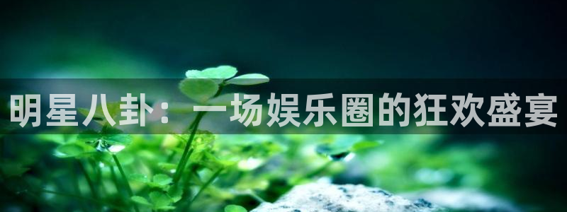 明星八卦：一场娱乐圈的狂欢盛宴