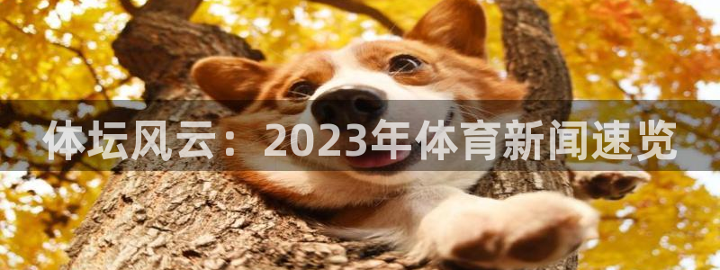 体坛风云：2023年体育新闻速览