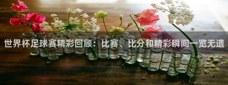 世界杯足球赛精彩回顾：比赛、比分和精彩瞬间一览无遗
