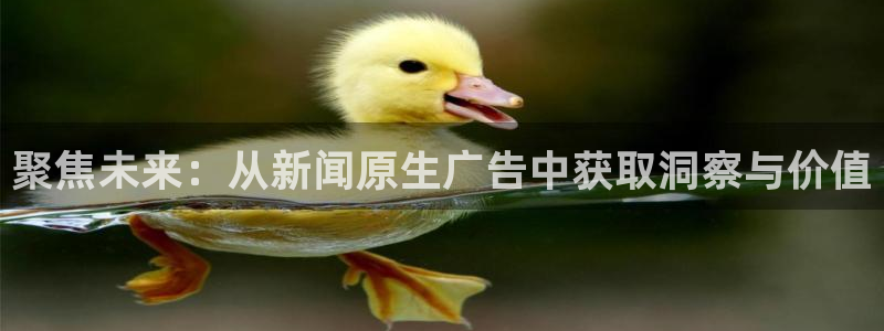 聚焦未来：从新闻原生广告中获取洞察与价值