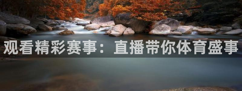 观看精彩赛事：直播带你体育盛事