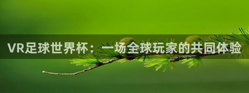 VR足球世界杯：一场全球玩家的共同体验